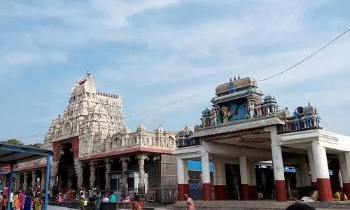 திருச்செந்தூர் கோவிலில் சித்திரை வசந்த திருவிழா 14-ந்தேதி தொடங்குகிறது