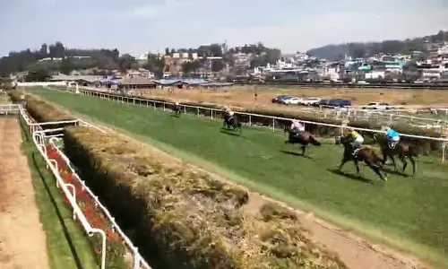 ஊட்டியில் குதிரை பந்தயம் தொடங்கியது: 500-க்கும் மேற்பட்ட குதிரைகள் பங்கேற்பு