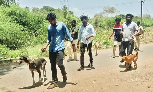 மோப்பநாய்கள் மூலம் சிறுத்தையை தேடும் பணி தீவிரம்