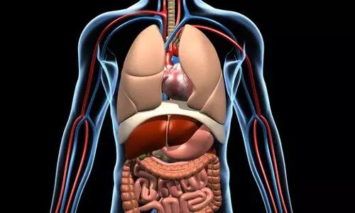 வியக்க வைக்கும் மனித உடலில் உள்ள ரகசியங்கள்!