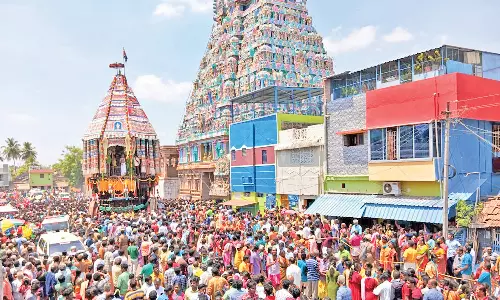 திருவானைக்காவல் அகிலாண்டேஸ்வரி ஜம்புகேசுவரர் கோவில் பங்குனி தேரோட்டம்