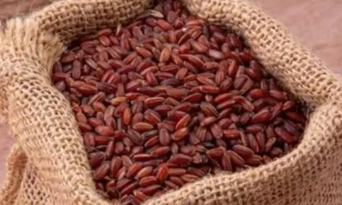 பெண்களுக்கு பூங்கார்