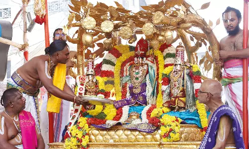 கற்பக விருட்சம், சர்வ பூபால வாகனங்களில் கோதண்டராமர் வீதி உலா