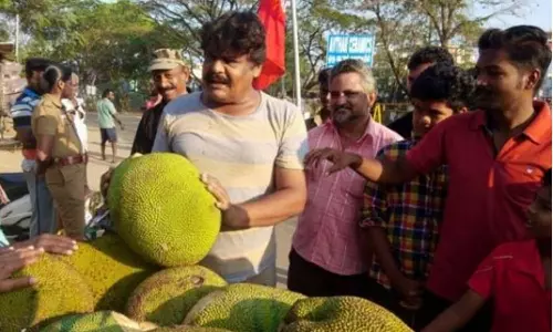 எனது சின்னம் பலாப்பழம்; உங்களுக்கு நோ ப்ராப்ளம்- நடிகர் மன்சூர் அலிகான் பஞ்ச் வசனம்
