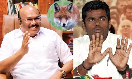 அண்ணாமலை ஒரு வால் அறுந்த நரி - எடப்பாடி குறித்த விமர்சனத்துக்கு ஜெயக்குமார் பதிலடி