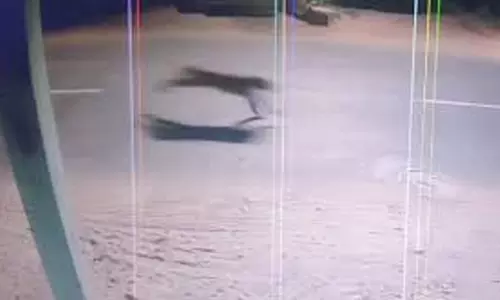 மயிலாடுதுறை தொடர்ந்து அரியலூரில் சிறுத்தை நடமாட்டம்- மருத்துவமனைக்குள் புகுந்ததால் பரபரப்பு