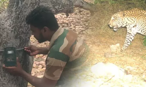 சிறுத்தை நடமாட்டம்: அரியலூரில் பள்ளிகளுக்கு விடுமுறை