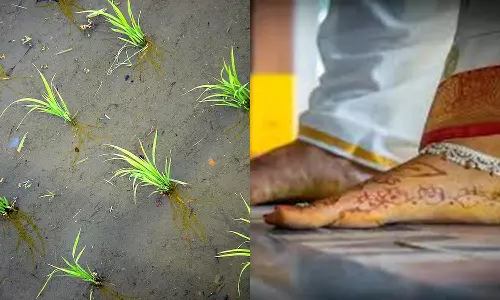 நாத்தனார்