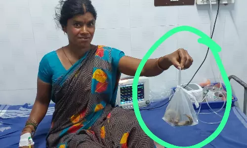 வீட்டின் முன்பு செல்போனில் பேசி கொண்டிருந்த பெண் பாம்பு கடித்து மருத்துவமனையில் அனுமதி