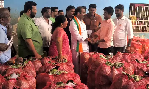 தேர்தலில் வெற்றி பெற்றதும் மேட்டுப்பாளையம் கல்லார் கிராமத்தை தத்தெடுப்பேன்- எல்.முருகன்