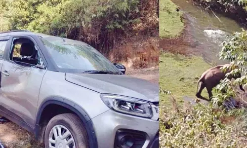 மூணாறில் சுற்றுலா பயணிகளின் காரை உடைத்த காட்டு யானை