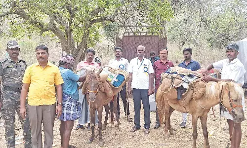 மலை கிராமங்களுக்கு குதிரையில் எடுத்து செல்லப்பட்ட மின்னணு எந்திரங்கள்