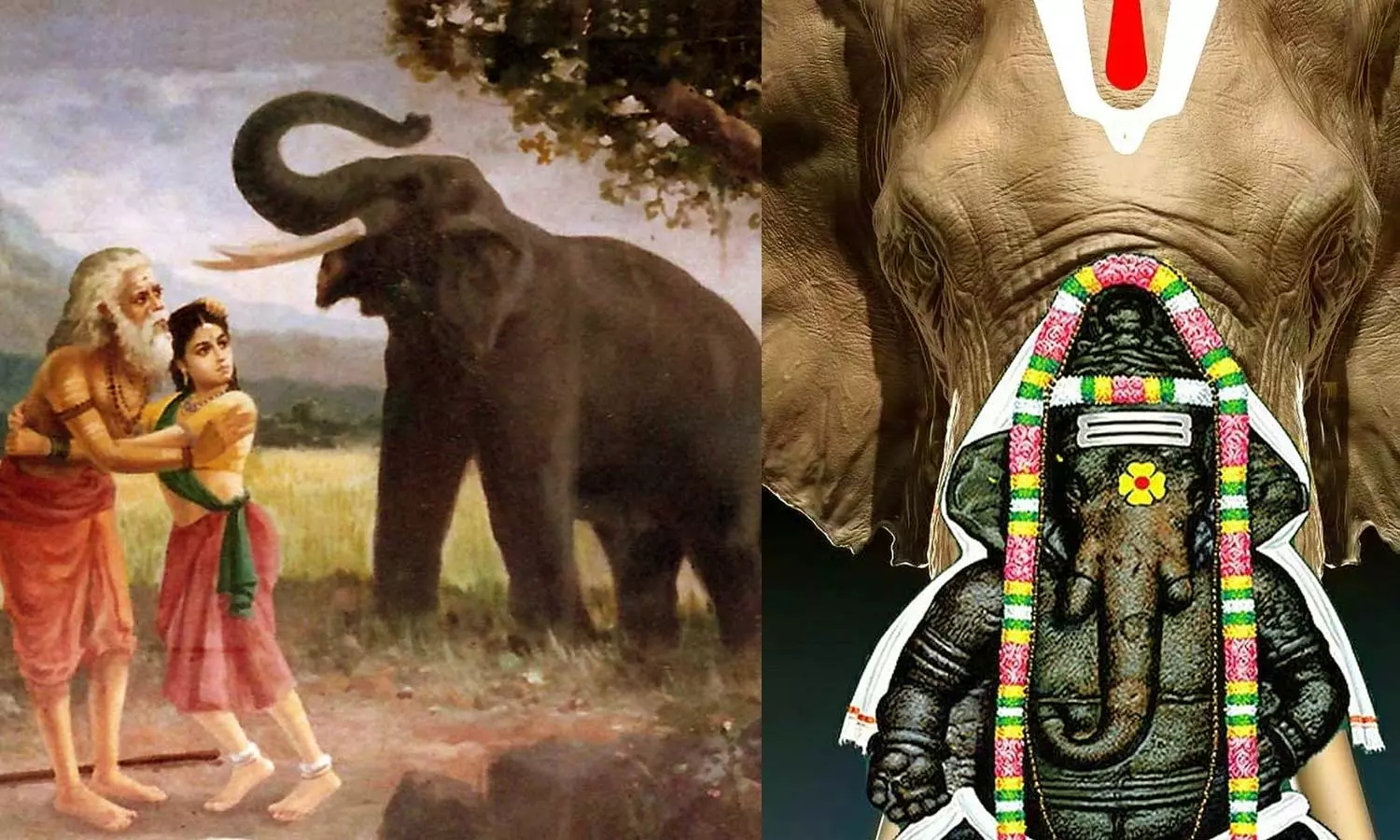 தம்பி முருகன் வள்ளியை திருமணம் செய்ய உதவிய விநாயகர் தம்பி முருகன் வள்ளியை திருமணம் செய்ய உதவிய விநாயகர்