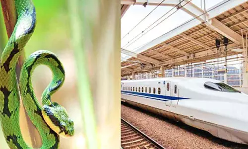 புல்லட் ரெயிலில் புகுந்த ராட்சத பாம்பு