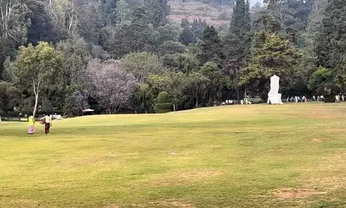 பராமரிப்பு பணிக்காக ஊட்டி தாவரவியல் பூங்கா புல் தரை மூடப்பட்டது