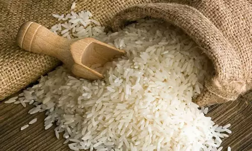 பாகிஸ்தானில் இருந்து அரிசி இறக்குமதி செய்ய தடை விதிக்கப்படும்: ரஷியா எச்சரிக்கை