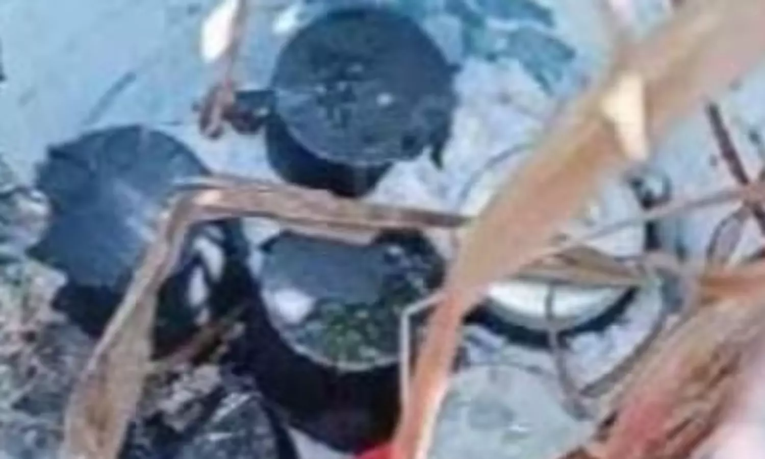 கேரளாவில் தோட்டத்தில் சக்தி வாய்ந்த வெடிகுண்டுகள் சிக்கின