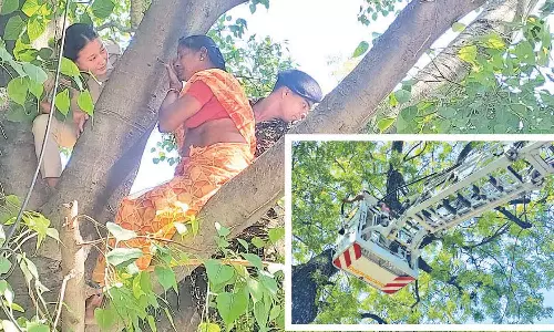 டெல்லியில் விவசாயிகள் 2-வது நாளாக போராட்டம்: மரம், செல்போன் டவர் மீது ஏறி பெண்கள் தற்கொலை மிரட்டல்