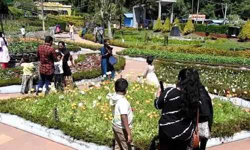 கொடைக்கானல் பிரையண்ட் பூங்காவில் பூத்துக்குலுங்கும் பல வண்ண மலர்கள்- சுற்றுலா பயணிகள் உற்சாகம்