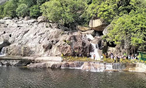 4 மாதங்களுக்கு பிறகு இன்று முதல் அனுமதி: மணிமுத்தாறு அருவியில் குளிக்க குவிந்த சுற்றுலா பயணிகள்