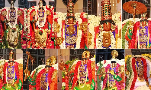 தசாவதாரங்களில் காட்சி தந்த தாடிக்கொம்பு சவுந்தரராஜ பெருமாள்