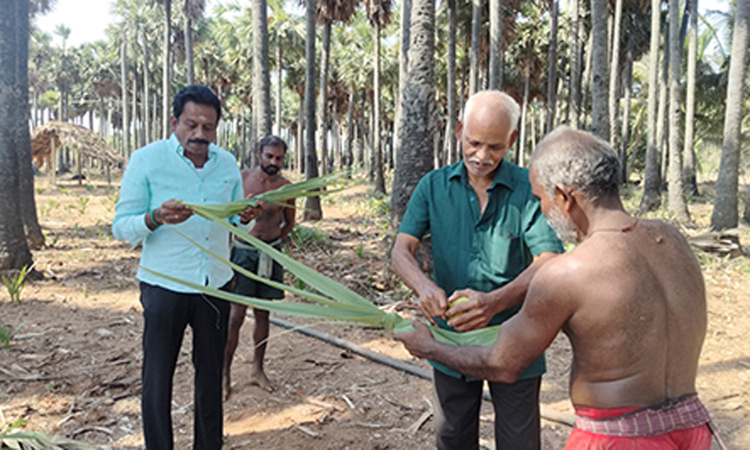 பதநீரில் கலப்படம் செய்வதை தடுக்க வேண்டும்: பனைமர தொழிலை காக்க அரசுக்கு ...
