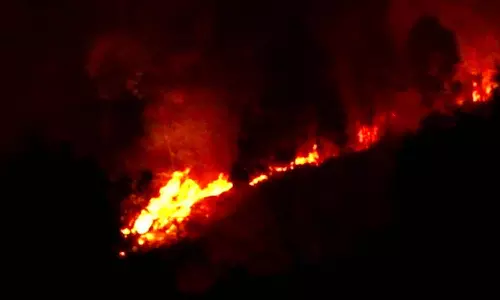 வனப்பகுதியில் பற்றி எரியும் காட்டூத்தீ மரங்கள், கொடிகள் எரிந்து சேதம்