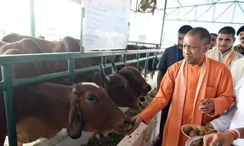 சிறுபான்மையினருக்கு மாட்டிறைச்சி உண்ணும் உரிமையை அளிக்க காங்கிரஸ் விரும்புகிறது: யோகி ஆதித்யநாத்