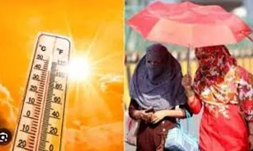 கொல்லம், திருச்சூர் மாவட்டங்களில் 3 நாட்களுக்கு வெப்ப நிலை உயரும்- வானிலை ஆய்வு மையம் எச்சரிக்கை