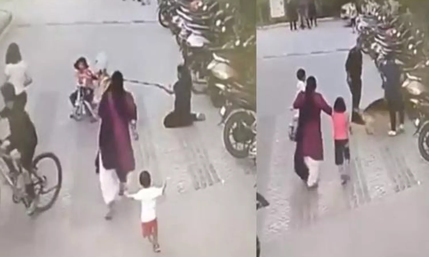 சிறுமியைக் கடித்த ஜெர்மன் ஷெப்பர்டு - வீடியோ வைரல்