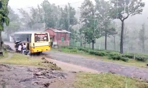 நெல்லை அணைப்பகுதியில் சாரல்: மாஞ்சோலை வனப்பகுதியில் 1 மணி நேரம் கனமழை