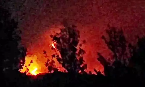 முதுமலை வனப்பகுதியில் பயங்கர காட்டுத்தீ: 100 ஏக்கருக்கு மேல் எரிந்து நாசம்