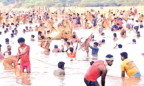 கொப்பனாபட்டி கொப்பான் கண்மாயில் உற்சாகமாக நடந்த மீன்பிடி திருவிழா