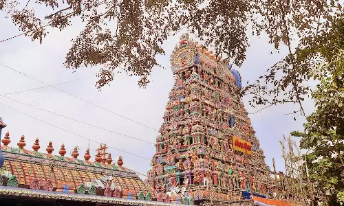 துயரங்களை போக்கும் வன்னி மரம்