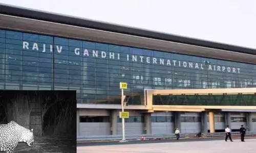 விமான நிலைய பகுதியில் புகுந்த சிறுத்தை