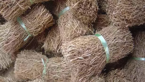 வெட்டிவேர் மருத்துவம்