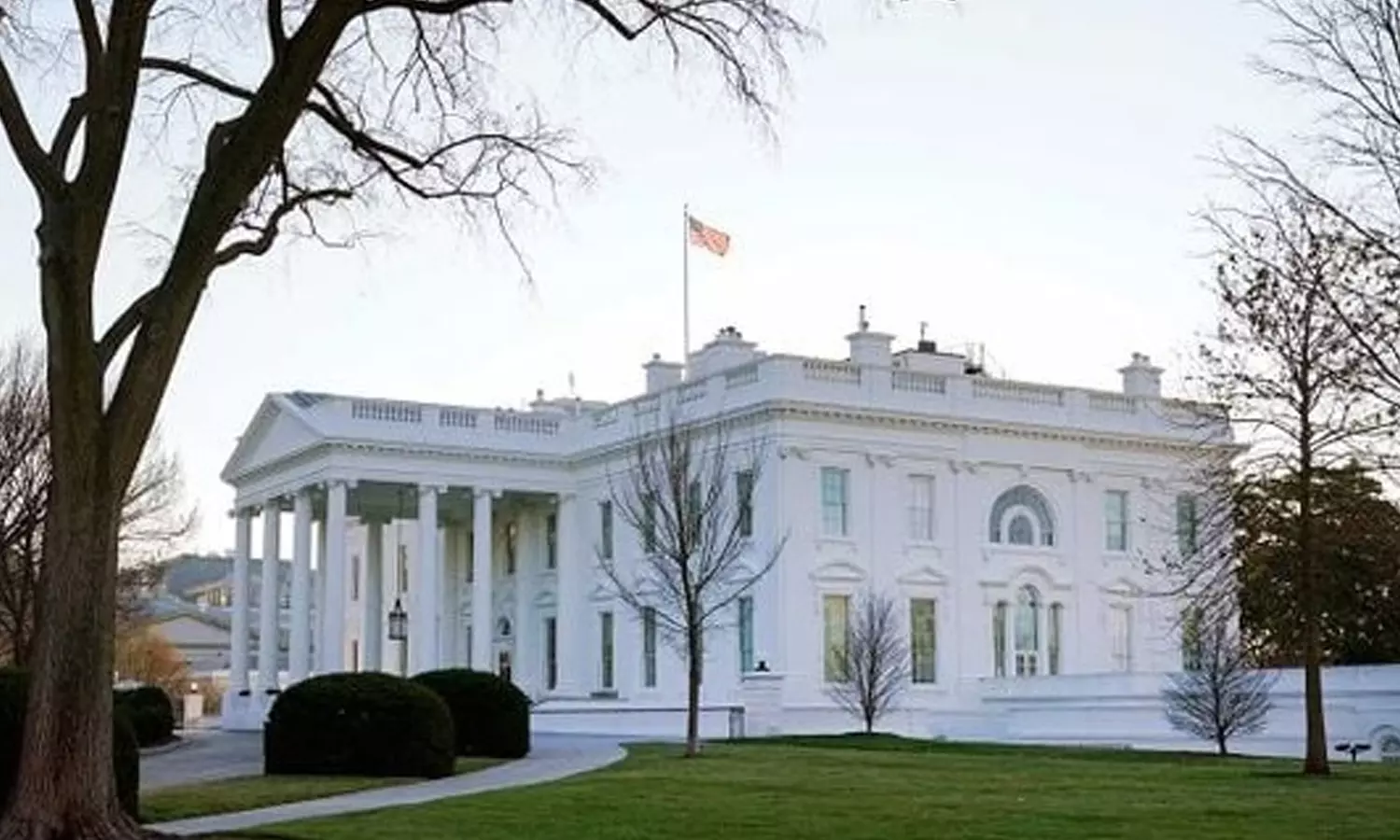 வெள்ளை மாளிகை மீது கார் மோதி விபத்து- ஓட்டுனர் உயிரிழப்பு: போலீஸ் விசாரணை வெள்ளை மாளிகை மீது கார் மோதி விபத்து- ஓட்டுனர் உயிரிழப்பு: போலீஸ் விசாரணை