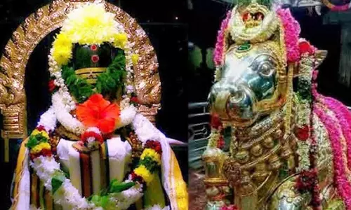 பிற தோஷங்களில் இருந்து விடைபெற... பிரதோஷ வழிபாடு அவசியம்...