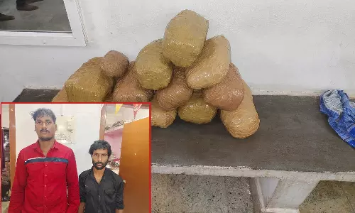 தருமபுரியில் வாகன சோதனையில் 11 கிலோ கஞ்சா கடத்திய  ஒடிசாவைச் சேர்ந்த 2 வாலிபர்கள் கைது