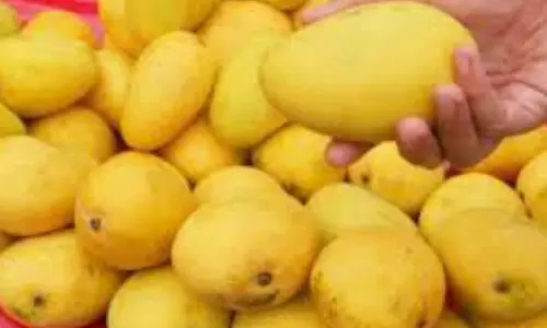 மாம்பழங்களை இப்படி பார்த்து வாங்குங்க...