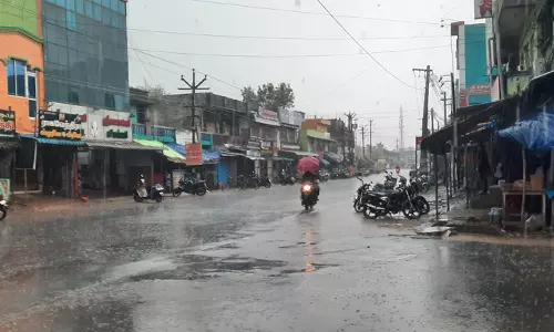 கடலூர், விழுப்புரம், கள்ளக்குறிச்சி மாவட்டத்தில் இடி-மின்னலுடன் பலத்த மழை: பொதுமக்கள் மகிழ்ச்சி