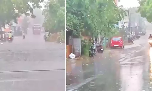 தஞ்சை உள்ளிட்ட டெல்டா மாவட்டங்களில் இன்று திடீர் மழை