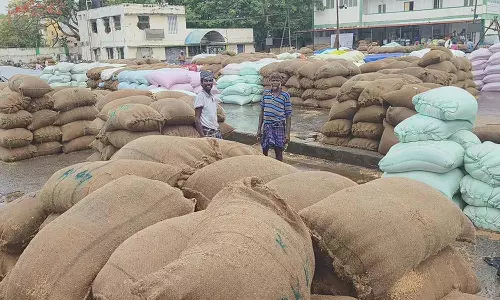 செஞ்சியில் மழை- 10 ஆயிரம் நெல் மூட்டைகள் சேதம்