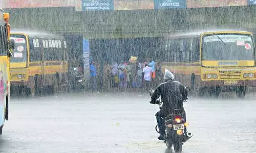 கத்திரி வெயிலை விரட்டிய கோடை மழையால் விவசாயிகள் மகிழ்ச்சி