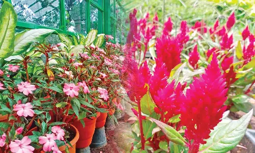 சுற்றுலா பயணிகளின் வருகை அதிகரிப்பு: ஏற்காட்டில் சாரல் மழையால் களை கட்டிய குளு குளு சீசன்