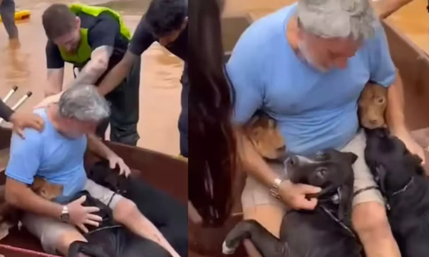 வெள்ளத்தில் பிரிந்த வளர்ப்பு நாய்