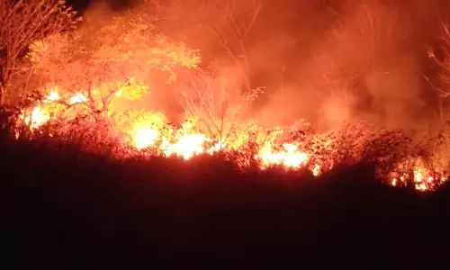 தவளகிரீஸ்வரர் மலையில் பற்றி எரியும் தீ