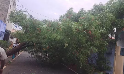 ஈரோடு புறநகர் பகுதியில் வெளுத்து வாங்கிய மழை