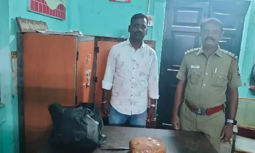 போலீசார் நடத்திய வாகன சோதனையில் 13 கிலோ கஞ்சா பறிமுதல்