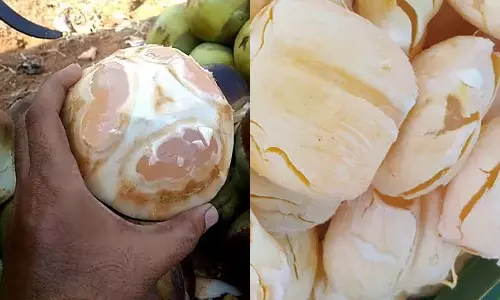 நுங்கு சாப்பிடுவதால் இத்தனை நன்மைகளா...